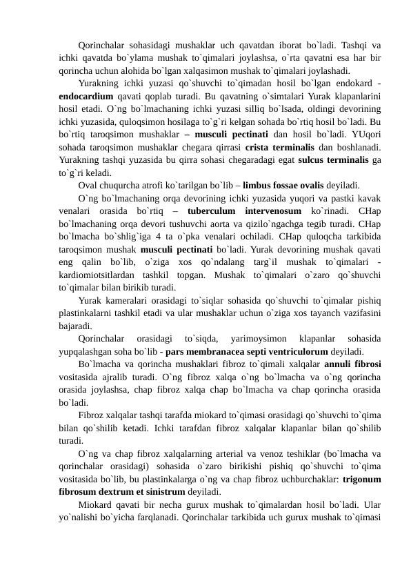 Qorinchalar sohasidagi mushaklar uch qavatdan iborat bo`ladi. Tashqi va
ichki qavatda bo`ylama mushak to`qimalari joylashsa, o`rta qavatni esa har bir
qorincha uchun alohida bo`lgan xalqasimon mushak to`qimalari joylashadi. 
Yurakning  ichki  yuzasi  qo`shuvchi  to`qimadan  hosil  bo`lgan  endokard  -
endocardium  qavati qoplab turadi. Bu qavatning o`simtalari Yurak klapanlarini
hosil etadi. O`ng bo`lmachaning ichki yuzasi silliq bo`lsada, oldingi devorining
ichki yuzasida, quloqsimon hosilaga to`g`ri kelgan sohada bo`rtiq hosil bo`ladi. Bu
bo`rtiq taroqsimon  mushaklar  – musculi  pectinati dan hosil  bo`ladi. YUqori
sohada taroqsimon mushaklar chegara qirrasi  crista terminalis dan boshlanadi.
Yurakning tashqi yuzasida bu qirra sohasi chegaradagi egat sulcus terminalis ga
to`g`ri keladi. 
Oval chuqurcha atrofi ko`tarilgan bo`lib – limbus fossae ovalis deyiladi.
O`ng bo`lmachaning orqa devorining ichki yuzasida yuqori va pastki kavak
venalari  orasida  bo`rtiq  –  tuberculum  intervenosum ko`rinadi.  CHap
bo`lmachaning orqa devori tushuvchi aorta va qizilo`ngachga tegib turadi. CHap
bo`lmacha bo`shlig`iga 4 ta o`pka venalari ochiladi. CHap quloqcha tarkibida
taroqsimon mushak  musculi pectinati bo`ladi. Yurak devorining mushak qavati
eng  qalin  bo`lib,  o`ziga  xos  qo`ndalang  targ`il  mushak  to`qimalari  -
kardiomiotsitlardan  tashkil  topgan.  Mushak  to`qimalari  o`zaro  qo`shuvchi
to`qimalar bilan birikib turadi.
Yurak kameralari orasidagi to`siqlar sohasida qo`shuvchi to`qimalar pishiq
plastinkalarni tashkil etadi va ular mushaklar uchun o`ziga xos tayanch vazifasini
bajaradi. 
Qorinchalar  orasidagi  to`siqda,  yarimoysimon  klapanlar  sohasida
yupqalashgan soha bo`lib - pars membranacea septi ventriculorum deyiladi.
Bo`lmacha va qorincha mushaklari fibroz to`qimali xalqalar  annuli fibrosi
vositasida ajralib turadi. O`ng fibroz xalqa o`ng bo`lmacha va o`ng qorincha
orasida joylashsa, chap fibroz xalqa chap bo`lmacha va chap qorincha orasida
bo`ladi.
Fibroz xalqalar tashqi tarafda miokard to`qimasi orasidagi qo`shuvchi to`qima
bilan qo`shilib  ketadi. Ichki  tarafdan fibroz xalqalar  klapanlar  bilan qo`shilib
turadi.
O`ng va chap fibroz xalqalarning arterial va venoz teshiklar (bo`lmacha va
qorinchalar  orasidagi)  sohasida  o`zaro  birikishi  pishiq  qo`shuvchi  to`qima
vositasida bo`lib, bu plastinkalarga o`ng va chap fibroz uchburchaklar: trigonum
fibrosum dextrum et sinistrum deyiladi. 
Miokard qavati bir necha gurux mushak to`qimalardan hosil bo`ladi. Ular
yo`nalishi bo`yicha farqlanadi. Qorinchalar tarkibida uch gurux mushak to`qimasi
