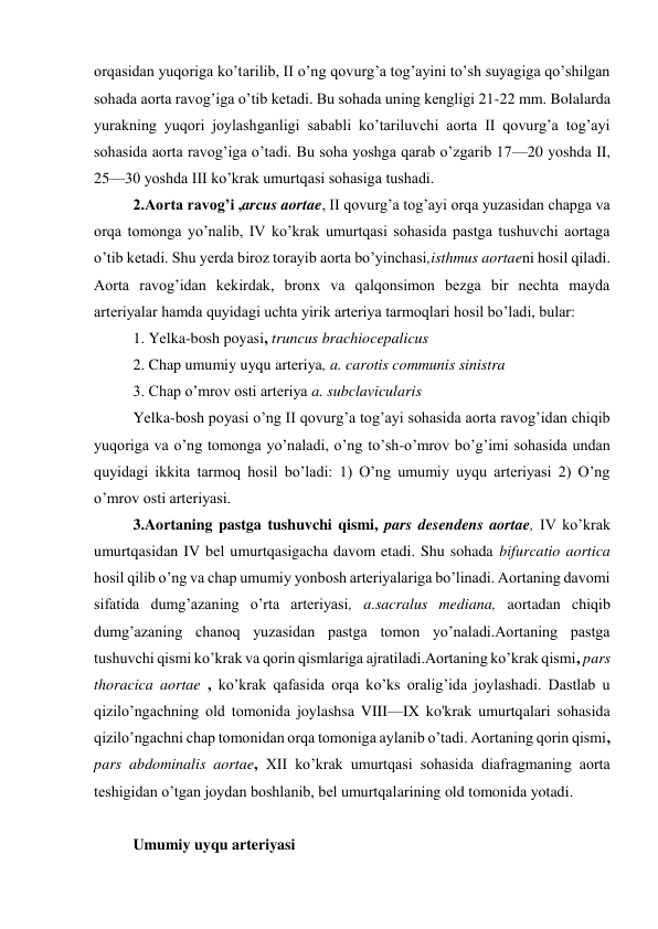 orqasidan yuqoriga ko’tarilib, II o’ng qovurg’a tog’ayini to’sh suyagiga qo’shilgan 
sohada aorta ravog’iga o’tib ketadi. Bu sohada uning kengligi 21-22 mm. Bolalarda 
yurakning yuqori joylashganligi sababli ko’tariluvchi aorta II qovurg’a tog’ayi 
sohasida aorta ravog’iga o’tadi. Bu soha yoshga qarab o’zgarib 17—20 yoshda II, 
25—30 yoshda III ko’krak umurtqasi sohasiga tushadi. 
2.Aorta ravog’i ,arcus aortae, II qovurg’a tog’ayi orqa yuzasidan chapga va 
orqa tomonga yo’nalib, IV ko’krak umurtqasi sohasida pastga tushuvchi aortaga 
o’tib ketadi. Shu yerda biroz torayib aorta bo’yinchasi,isthmus aortaeni hosil qiladi. 
Aorta ravog’idan kekirdak, bronx va qalqonsimon bezga bir nechta mayda 
arteriyalar hamda quyidagi uchta yirik arteriya tarmoqlari hosil bo’ladi, bular: 
1. Yelka-bosh poyasi, truncus brachiocepalicus 
2. Chap umumiy uyqu arteriya, a. carotis communis sinistra 
3. Chap o’mrov osti arteriya a. subclavicularis 
Yelka-bosh poyasi o’ng II qovurg’a tog’ayi sohasida aorta ravog’idan chiqib 
yuqoriga va o’ng tomonga yo’naladi, o’ng to’sh-o’mrov bo’g’imi sohasida undan 
quyidagi ikkita tarmoq hosil bo’ladi: 1) O’ng umumiy uyqu arteriyasi 2) O’ng 
o’mrov osti arteriyasi. 
3.Aortaning pastga tushuvchi qismi, pars desendens aortae, IV ko’krak 
umurtqasidan IV bel umurtqasigacha davom etadi. Shu sohada bifurcatio aortica 
hosil qilib o’ng va chap umumiy yonbosh arteriyalariga bo’linadi. Aortaning davomi 
sifatida dumg’azaning o’rta arteriyasi, a.sacralus mediana, aortadan chiqib 
dumg’azaning chanoq yuzasidan pastga tomon yo’naladi.Aortaning pastga 
tushuvchi qismi ko’krak va qorin qismlariga ajratiladi.Aortaning ko’krak qismi, pars 
thoracica aortae , ko’krak qafasida orqa ko’ks oralig’ida joylashadi. Dastlab u 
qizilo’ngachning old tomonida joylashsa VIII—IX ko'krak umurtqalari sohasida 
qizilo’ngachni chap tomonidan orqa tomoniga aylanib o’tadi. Aortaning qorin qismi, 
pars abdominalis aortae, XII ko’krak umurtqasi sohasida diafragmaning aorta 
teshigidan o’tgan joydan boshlanib, bel umurtqalarining old tomonida yotadi. 
 
Umumiy uyqu arteriyasi 
