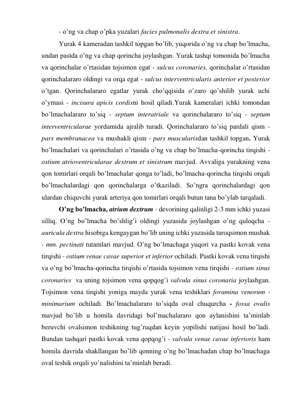 - o’ng va chap o’pka yuzalari facies pulmonalis dextra et sinistra. 
Yurak 4 kameradan tashkil topgan bo’lib, yuqorida o’ng va chap bo’lmacha, 
undan pastda o’ng va chap qorincha joylashgan. Yurak tashqi tomonida bo’lmacha 
va qorinchalar o’rtasidan tojsimon egat - sulcus coronaries, qorinchalar o’rtasidan 
qorinchalararo oldingi va orqa egat - sulcus interventricularis anterior et posterior 
o’tgan. Qorinchalararo egatlar yurak cho’qqisida o’zaro qo’shilib yurak uchi 
o’ymasi - incisura apicis cordisni hosil qiladi.Yurak kameralari ichki tomondan 
bo’lmachalararo to’siq - septum interatriale va qorinchalararo to’siq - septum 
interventricularae yordamida ajralib turadi. Qorinchalararo to’siq pardali qism - 
pars membranacea va mushakli qism - pars muscularisdan tashkil topgan. Yurak 
bo’lmachalari va qorinchalari o’rtasida o’ng va chap bo’lmacha-qorincha tirqishi - 
ostium atrioventricularae dextrum et sinistrum mavjud. Avvaliga yurakning vena 
qon tomirlari orqali bo’lmachalar qonga to’ladi, bo’lmacha-qorincha tirqishi orqali 
bo’lmachalardagi qon qorinchalarga o’tkaziladi. So’ngra qorinchalardagi qon 
ulardan chiquvchi yurak arteriya qon tomirlari orqali butun tana bo’ylab tarqaladi. 
O’ng bo’lmacha, atrium dextrum - devorining qalinligi 2-3 mm ichki yuzasi 
silliq. O’ng bo’lmacha bo’shlig’i oldingi yuzasida joylashgan o’ng quloqcha - 
auricula dextra hisobiga kengaygan bo’lib uning ichki yuzasida taroqsimon mushak 
- mm. pectinati tutamlari mavjud. O’ng bo’lmachaga yuqori va pastki kovak vena 
tirqishi - ostium venae cavae superior et inferior ochiladi. Pastki kovak vena tirqishi 
va o’ng bo’lmacha-qorincha tirqishi o’rtasida tojsimon vena tirqishi - ostium sinus 
coronaries  va uning tojsimon vena qopqog’i valvula sinus coronaria joylashgan. 
Tojsimon vena tirqishi yoniga mayda yurak vena teshiklari foramina venorum - 
minimarium ochiladi. Bo’lmachalararo to’siqda oval chuqurcha - fossa ovalis 
mavjud bo’lib u homila davridagi bol’machalararo qon aylanishini ta’minlab 
beruvchi ovalsimon teshikning tug’ruqdan keyin yopilishi natijasi hosil bo’ladi. 
Bundan tashqari pastki kovak vena qopqog’i - valvula venae cavae inferioris ham 
homila davrida shakllangan bo’lib qonning o’ng bo’lmachadan chap bo’lmachaga 
oval teshik orqali yo’nalishini ta’minlab beradi. 
