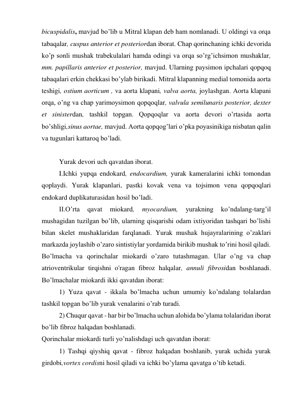 bicuspidalis, mavjud bo’lib u Mitral klapan deb ham nomlanadi. U oldingi va orqa 
tabaqalar, cuspus anterior et posteriordan iborat. Chap qorinchaning ichki devorida 
ko’p sonli mushak trabekulalari hamda odingi va orqa so’rg’ichsimon mushaklar, 
mm. papillaris anterior et posterior, mavjud. Ularning paysimon ipchalari qopqoq 
tabaqalari erkin chekkasi bo’ylab birikadi. Mitral klapanning medial tomonida aorta 
teshigi, ostium aorticum , va aorta klapani, valva aorta, joylashgan. Aorta klapani 
orqa, o’ng va chap yarimoysimon qopqoqlar, valvula semilunaris posterior, dexter 
et sinisterdan, tashkil topgan. Qopqoqlar va aorta devori o’rtasida aorta 
bo’shligi,sinus aortae, mavjud. Aorta qopqog’lari o’pka poyasinikiga nisbatan qalin 
va tugunlari kattaroq bo’ladi. 
 
Yurak devori uch qavatdan iborat.  
I.Ichki yupqa endokard, endocardium, yurak kameralarini ichki tomondan 
qoplaydi. Yurak klapanlari, pastki kovak vena va tojsimon vena qopqoqlari 
endokard duplikaturasidan hosil bo’ladi.  
II.O’rta 
qavat 
miokard, 
myocardium, 
yurakning 
ko’ndalang-targ’il 
mushagidan tuzilgan bo’lib, ularning qisqarishi odam ixtiyoridan tashqari bo’lishi 
bilan skelet mushaklaridan farqlanadi. Yurak mushak hujayralarining o’zaklari 
markazda joylashib o’zaro sintistiylar yordamida birikib mushak to’rini hosil qiladi. 
Bo’lmacha va qorinchalar miokardi o’zaro tutashmagan. Ular o’ng va chap 
atrioventrikular tirqishni o'ragan fibroz halqalar, annuli fibrosidan boshlanadi. 
Bo’lmachalar miokardi ikki qavatdan iborat: 
1) Yuza qavat - ikkala bo’lmacha uchun umumiy ko’ndalang tolalardan 
tashkil topgan bo’lib yurak venalarini o’rab turadi. 
2) Chuqur qavat - har bir bo’lmacha uchun alohida bo’ylama tolalaridan iborat  
bo’lib fibroz halqadan boshlanadi.  
Qorinchalar miokardi turli yo’nalishdagi uch qavatdan iborat: 
1) Tashqi qiyshiq qavat - fibroz halqadan boshlanib, yurak uchida yurak 
girdobi,vortex cordisni hosil qiladi va ichki bo’ylama qavatga o’tib ketadi. 

